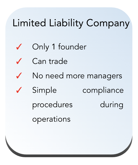 Limited Liability Company in Vietnam company registration